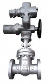 Gate valve type GTV