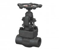 Forged globe valve